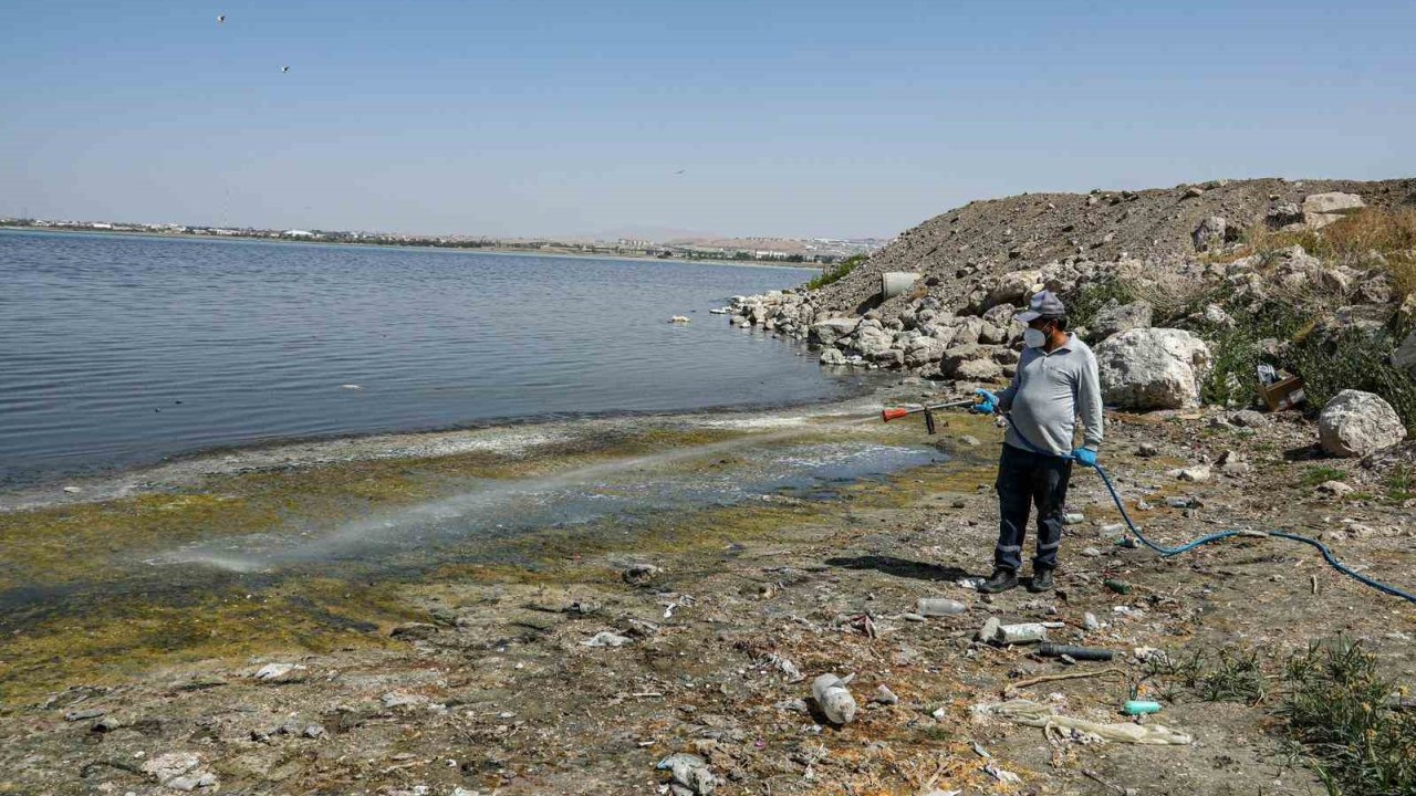 Van’da Kent Zararlılarına Karşı İlaçlama Çalışması