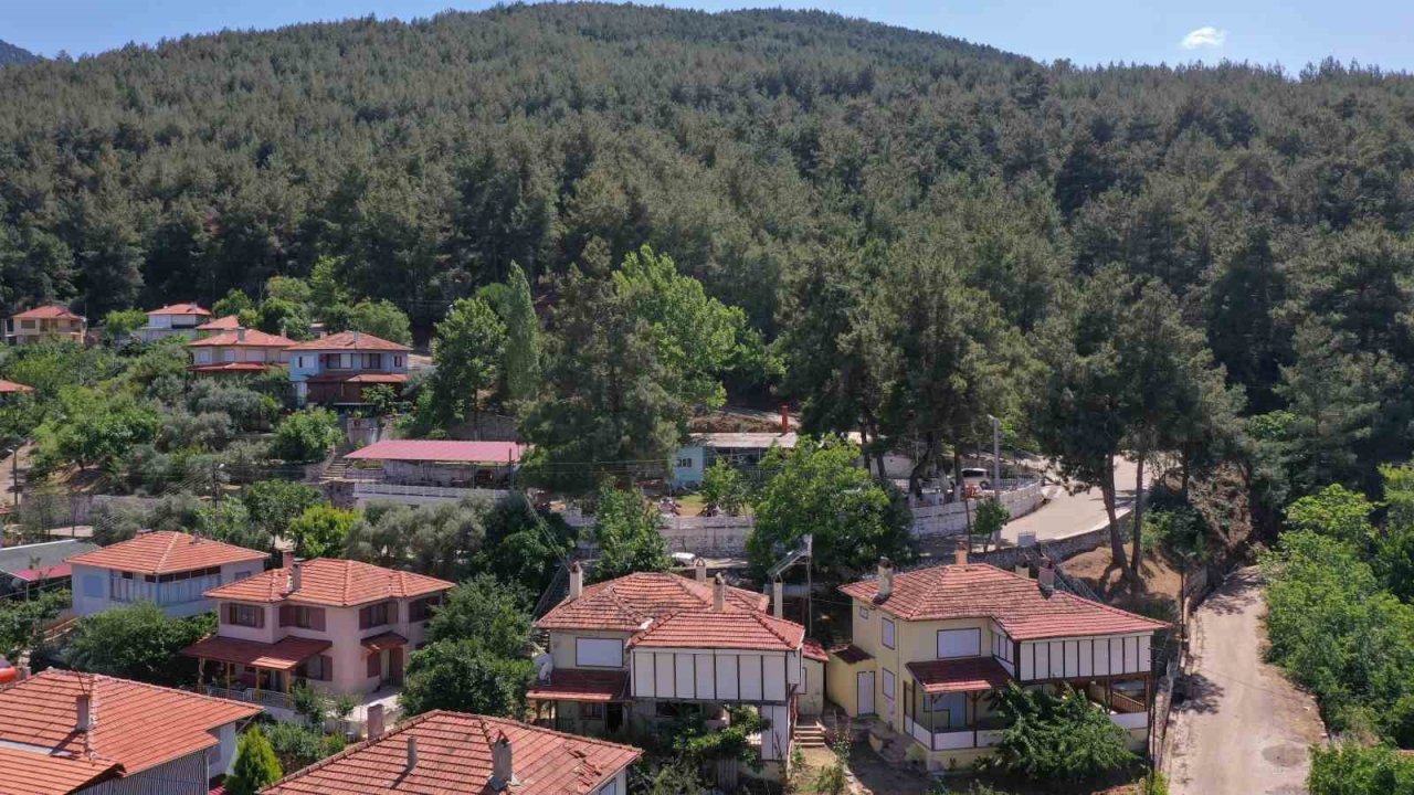 Karacasu Belediyesi’nden Yangın Uyarısı: