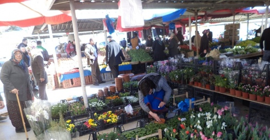 Pazar yerleri çiçek açtı
