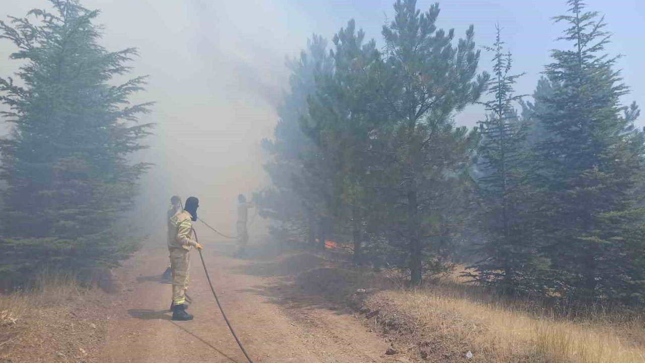Malatya’da Ormanlık Alanda Yangın