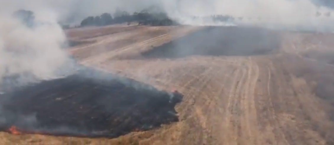 Bilecik’te Tarım Arazisinde Çıkan Yangın Söndürüldü