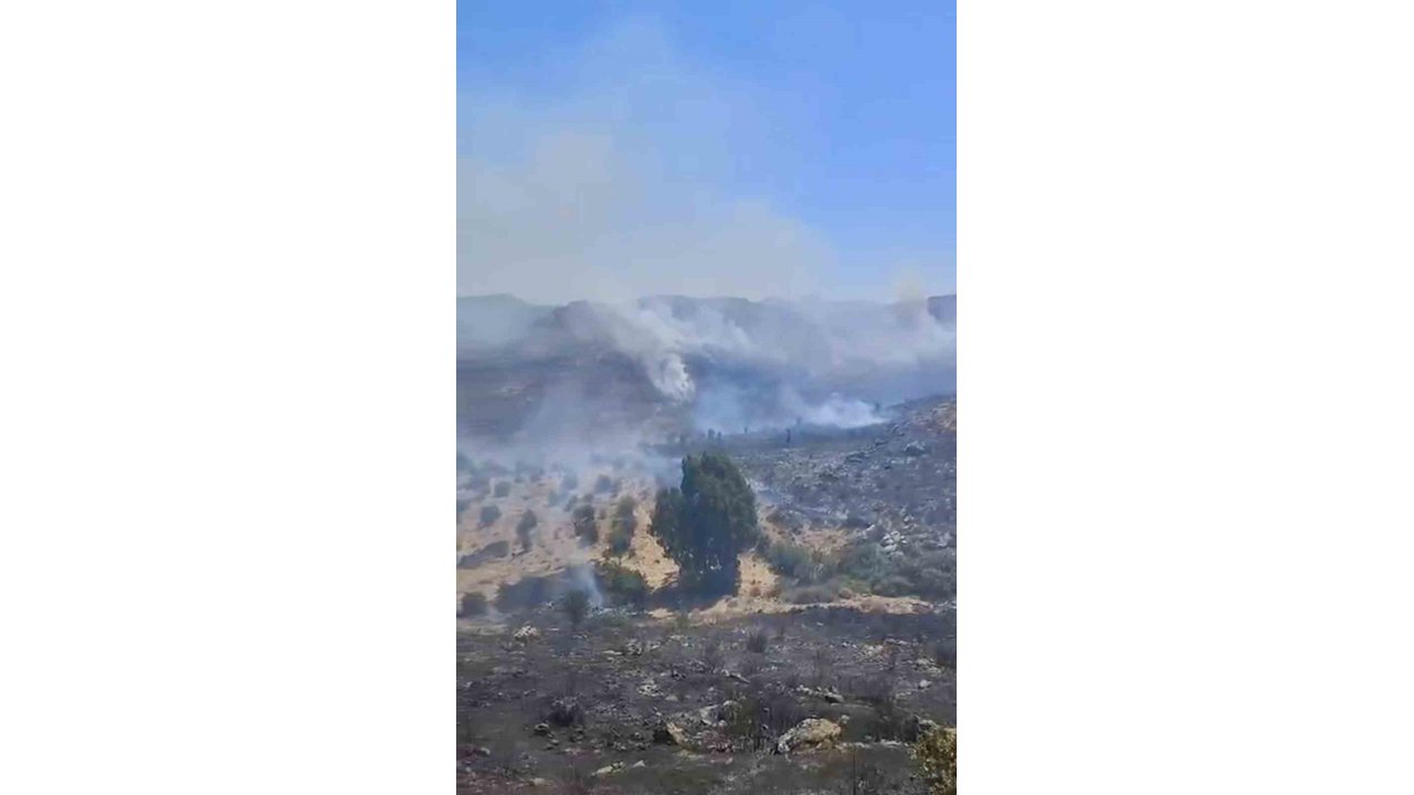 Bodrum’da Otluk Alanda Çıkan Yangın Kısa Sürede Kontrol Altına Alındı