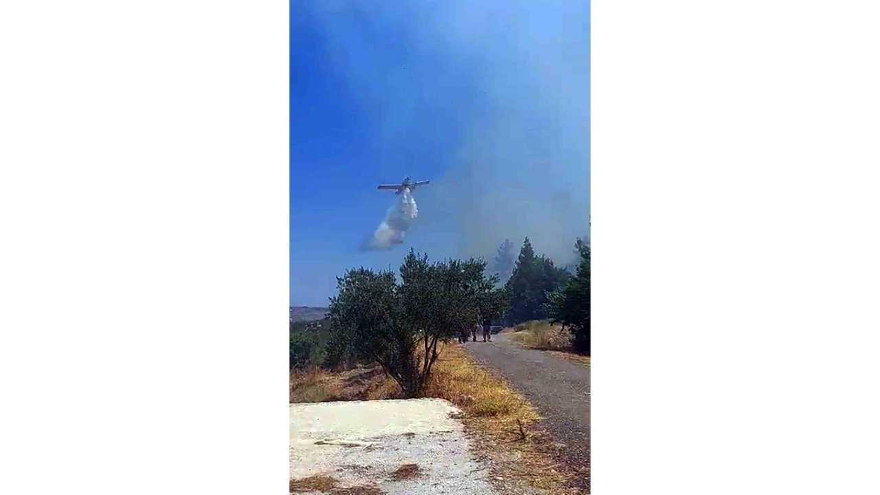 Menteşe Fadıl Mahallesinde Orman Yangını