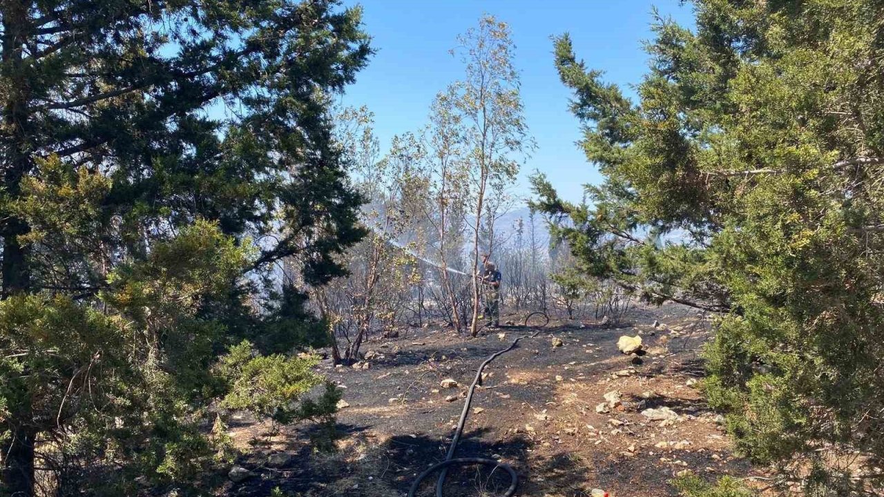 Buca’daki Orman Yangını Kontrol Altına Alındı