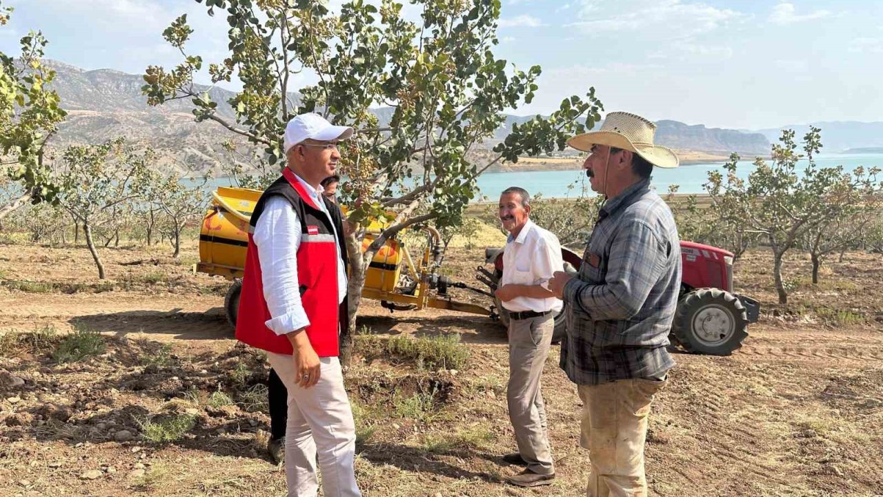 Siirt’te Fıstık Bahçelerinde Aşırı Sıcaklık Alarmı