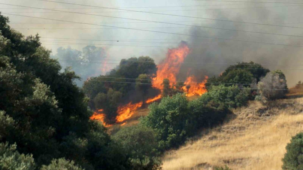 Zirai Alanda Başlayan Yangın Ormana Sıçradı Müdahale Devam Ediyor
