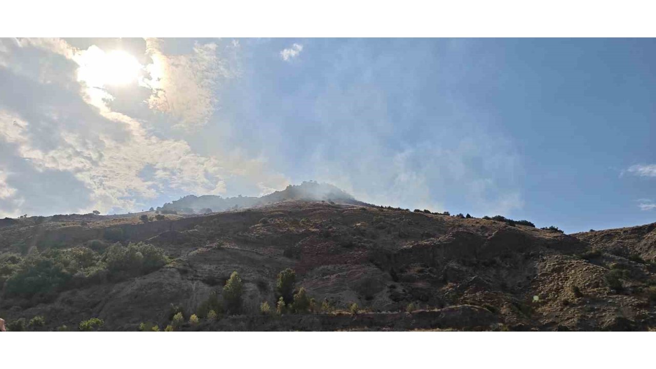 Sivas’ta Çıkan Orman Yangını Kısa Sürede Kontrol Altına Alındı