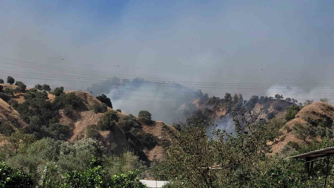 Aydın Valisi Canbolat: