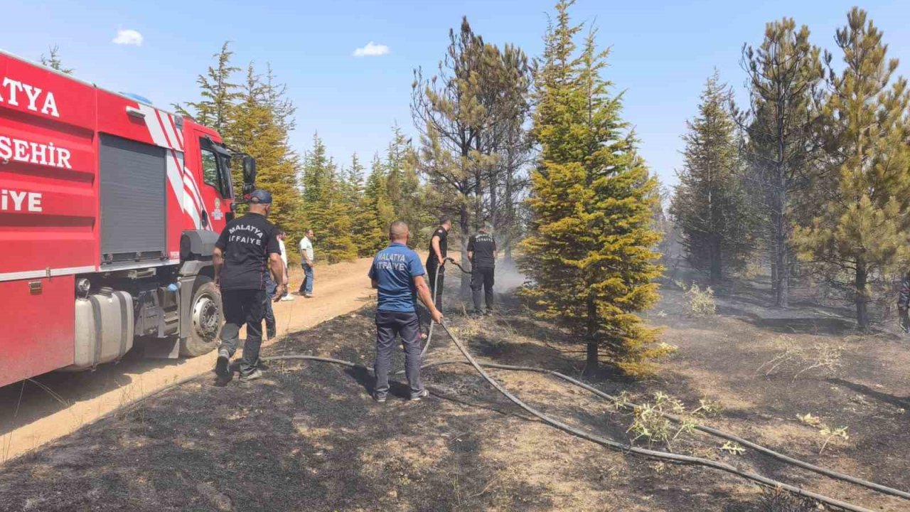 Malatya’daki Orman Yangını Söndürüldü