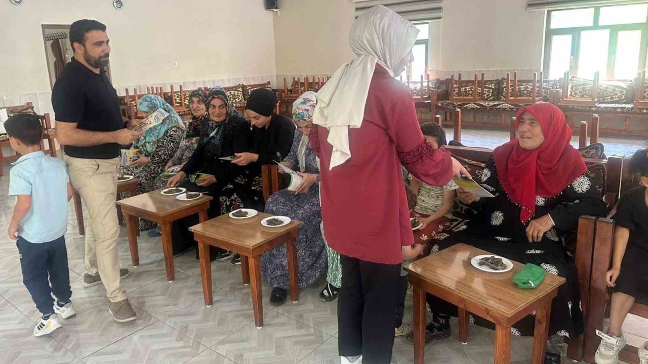 Dicle Elektrik’ten Kırsalda Kadın Ve Çocuklara Enerji Tasarrufu Eğitimi