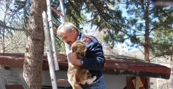 Tokat’ta vatandaşın kedi kurtarma operasyonu