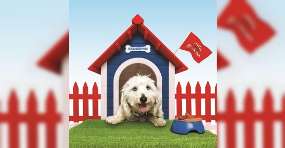 O alışveriş merkezinde köpeklere özel alan