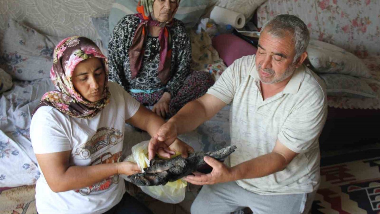 Yangında Depoda Sakladıkları 90 Bin Tl Kül Olan Aile Merkez Bankası’na Başvurdu