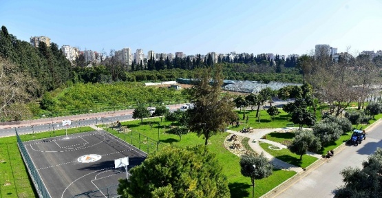 Antalya’da en güzel ağaç seçiliyor