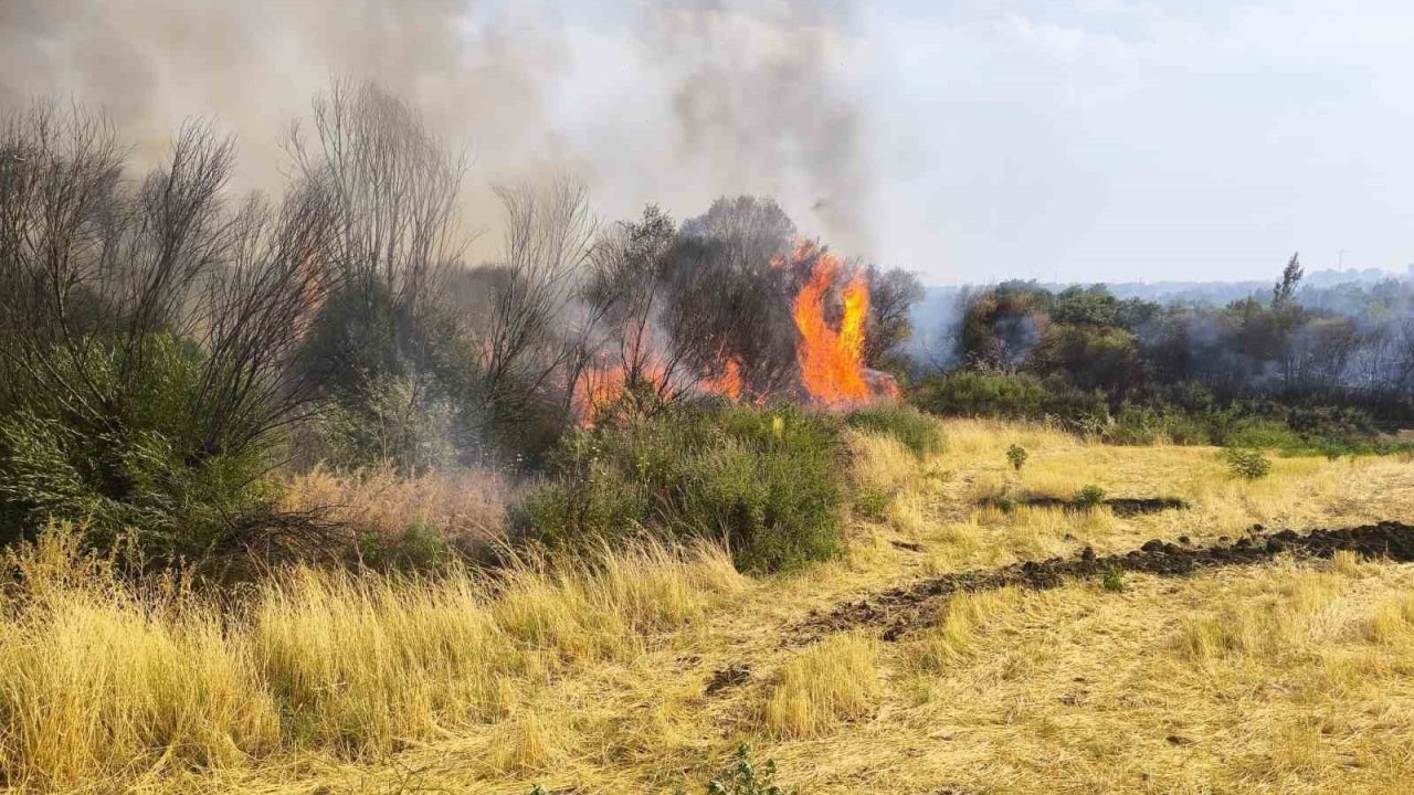 Diyarbakır’da Ormanlık Alana Sıçrayan Örtü Yangını Söndürüldü