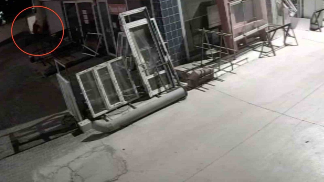 Köpeği Önce Aracıyla Ezmeye Çalıştı Ardından Tüfekle Vurarak Felç Bıraktı