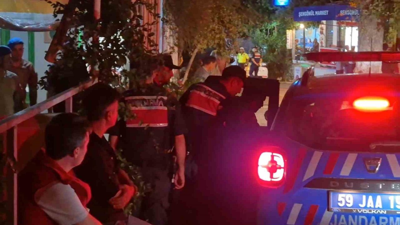 Tekirdağ’da Orman Yangınına Neden Olduğu İddia Edilen 1 Şüpheli Gözaltına Alındı