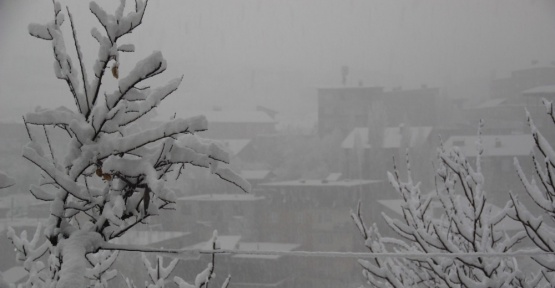 Hakkari’de karla mücadele çalışması