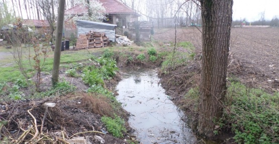 Çocuk parkı yanındaki lağım kanalı tehlike saçıyor