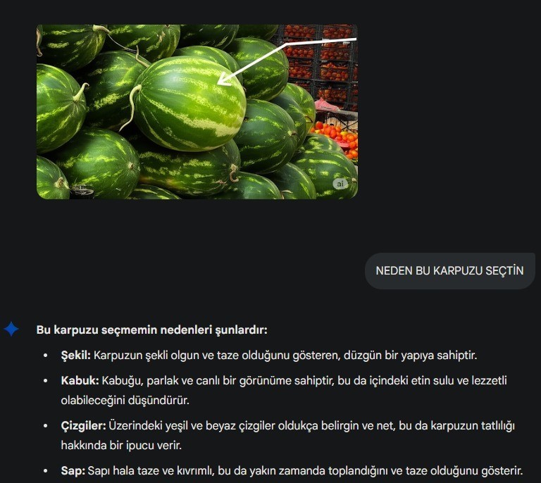 Yapay Zeka Pazara İndi, Karpuz Seçimine Başladı
