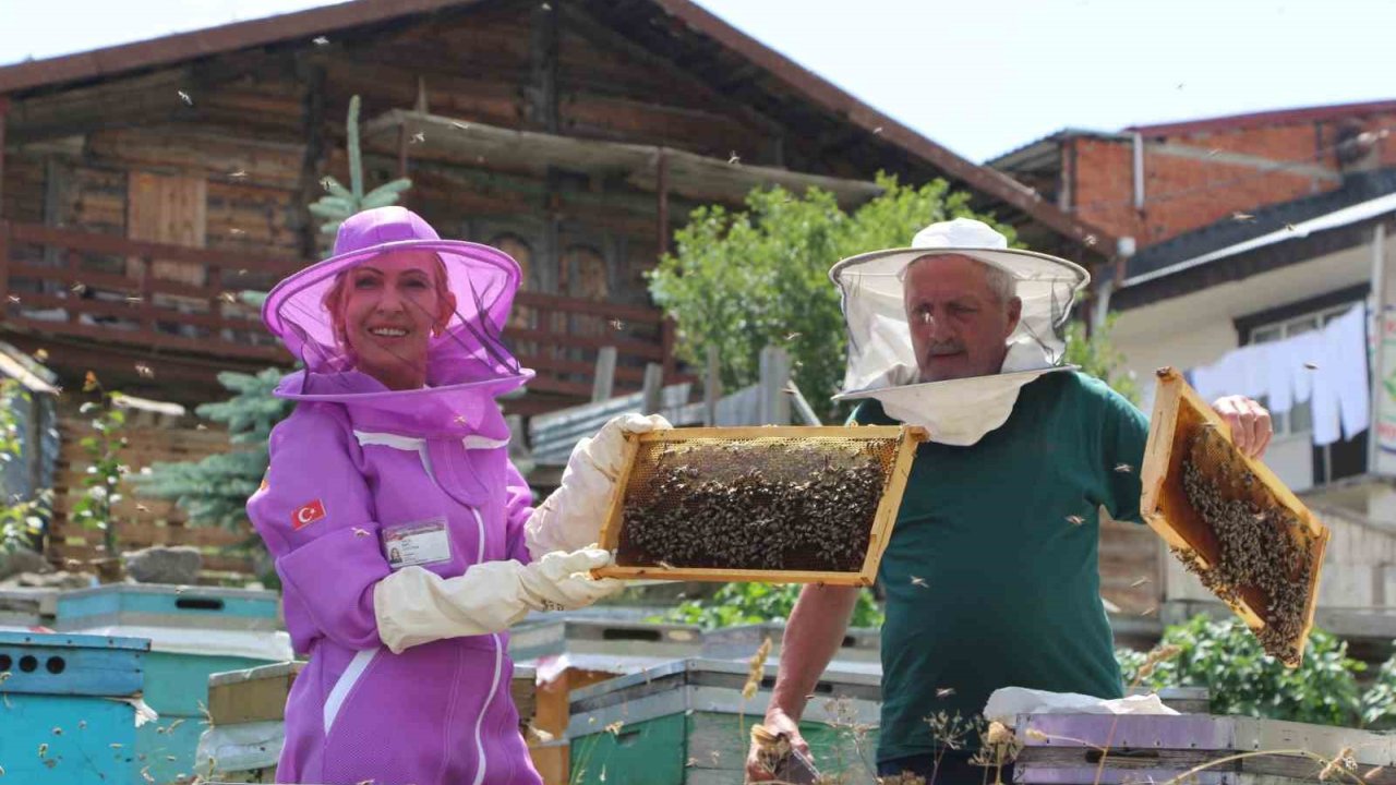 Dünyaca Ünlü Anzer Balında Referans Kovanlarında Sağım Gerçekleşti