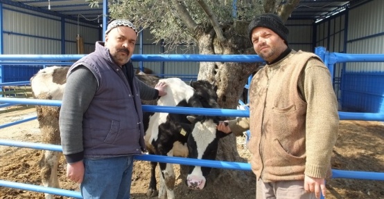 Burhaniyeli kahveci halo süt servisi kurdu