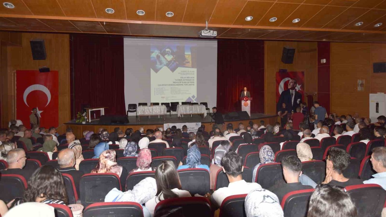 Ahlat’ta Yatırım Ve İstihdam Çalıştay Değerlendirme Toplantısı