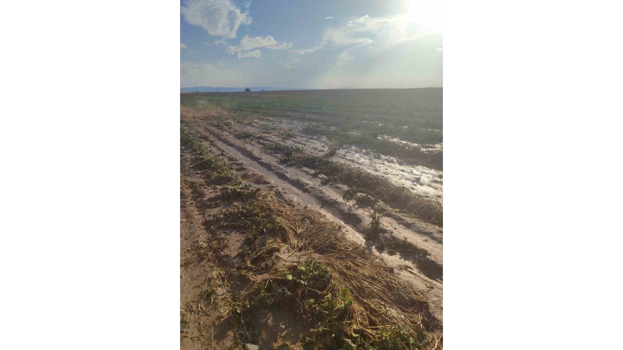 Beypazarı’nda Sağanak Yağış Tarlalara Zarar Verdi