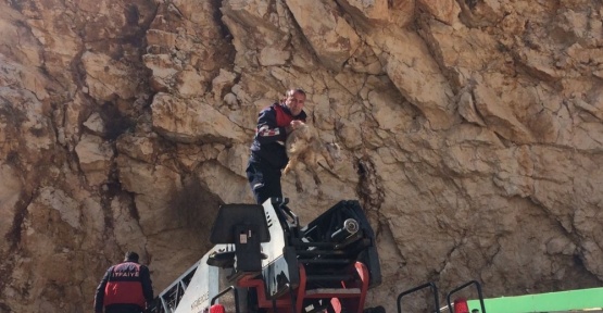 Uçurumda iki gün mahsur kalan keçi kurtarıldı