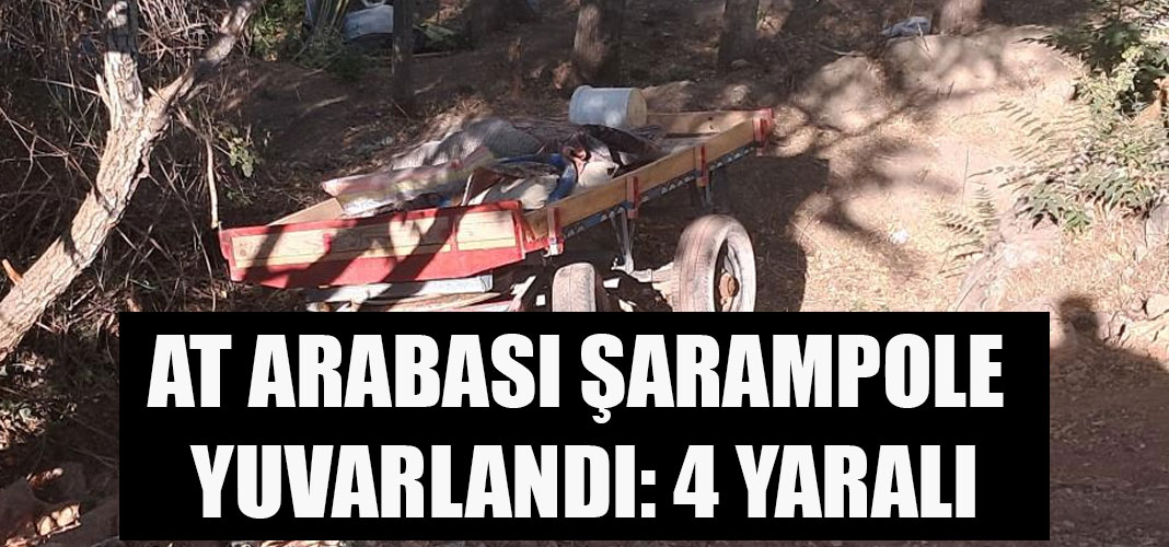AT ARABASI ŞARAMPOLE YUVARLANDI: 4 YARALI