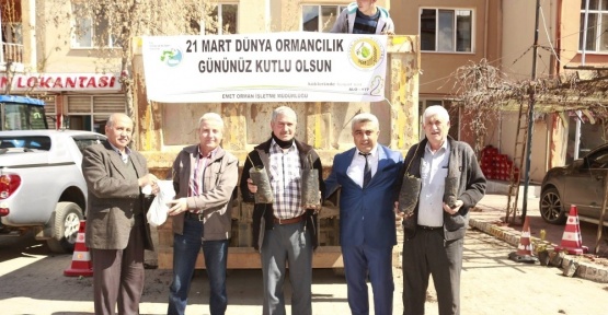 Hisarcık Orman İşletme Şefliği 2 bin 500 fidan dağıttı