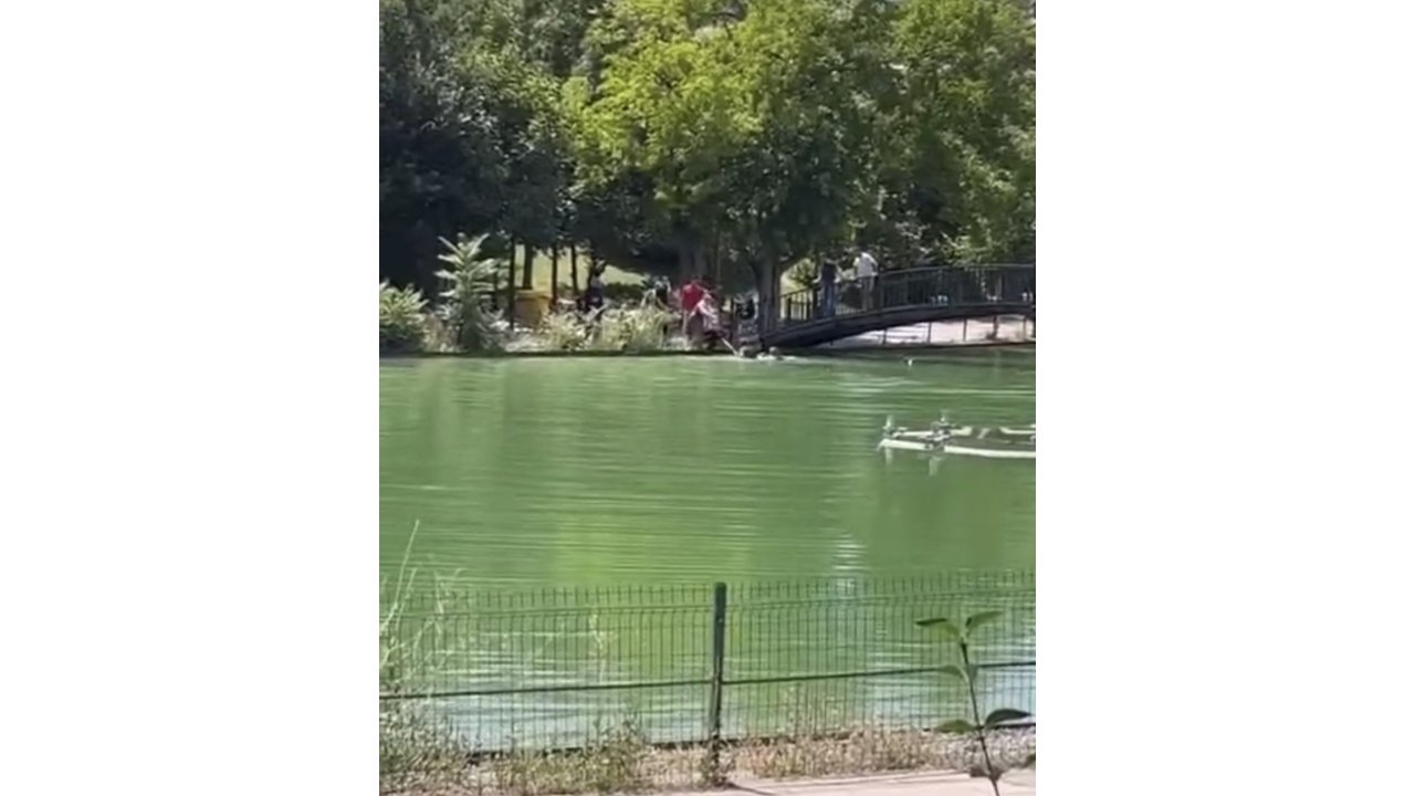 Göletli Park’ta Korku Dolu Anlar: Suya Düşen Çocuk Vatandaşlar Tarafından Kurtarıldı