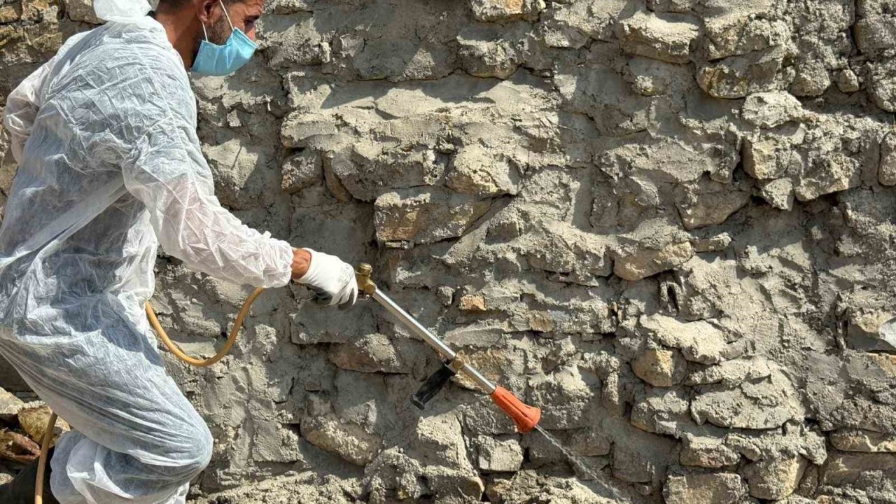 Batman’da Akreplerin İstila Ettiği Köyde İlaçlama Yapıldı