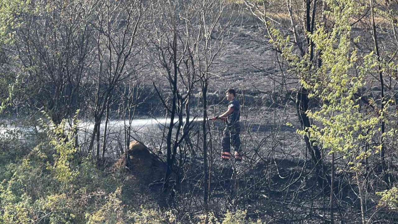 Faciayı İtfaiye Önledi