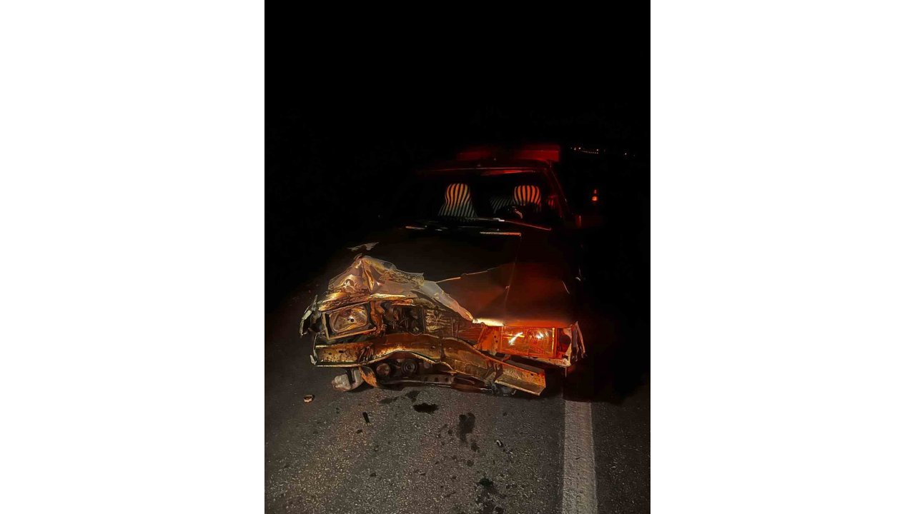 Otomobilin Çarptığı Domuz Telef Oldu