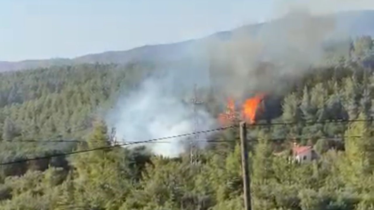 Tavas’ın Ciğerlerini Ateşe Veren Kundakçılardan Akıl Almaz Tuzak