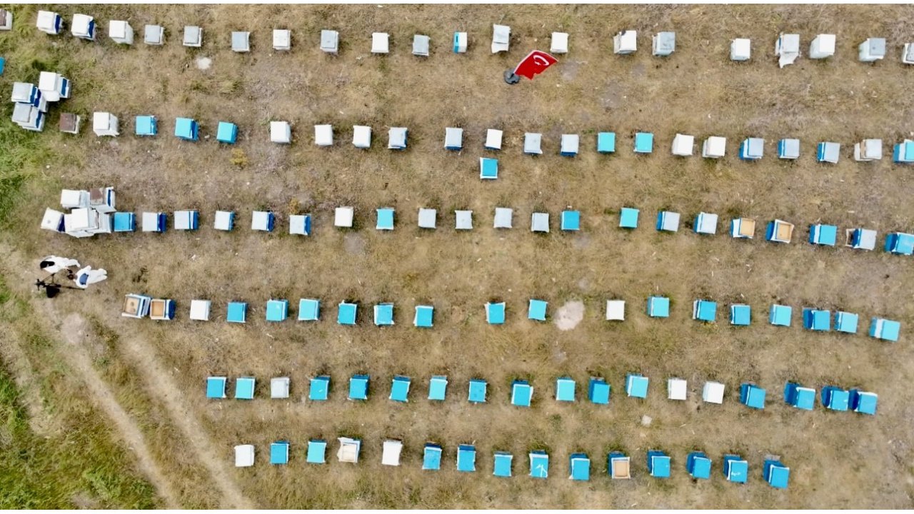 Ağrı’da Kadınlar Bal Üretimine Yöneliyor