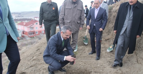 Tosya’da Ormancılık Haftası fidan dikilerek kutlandı