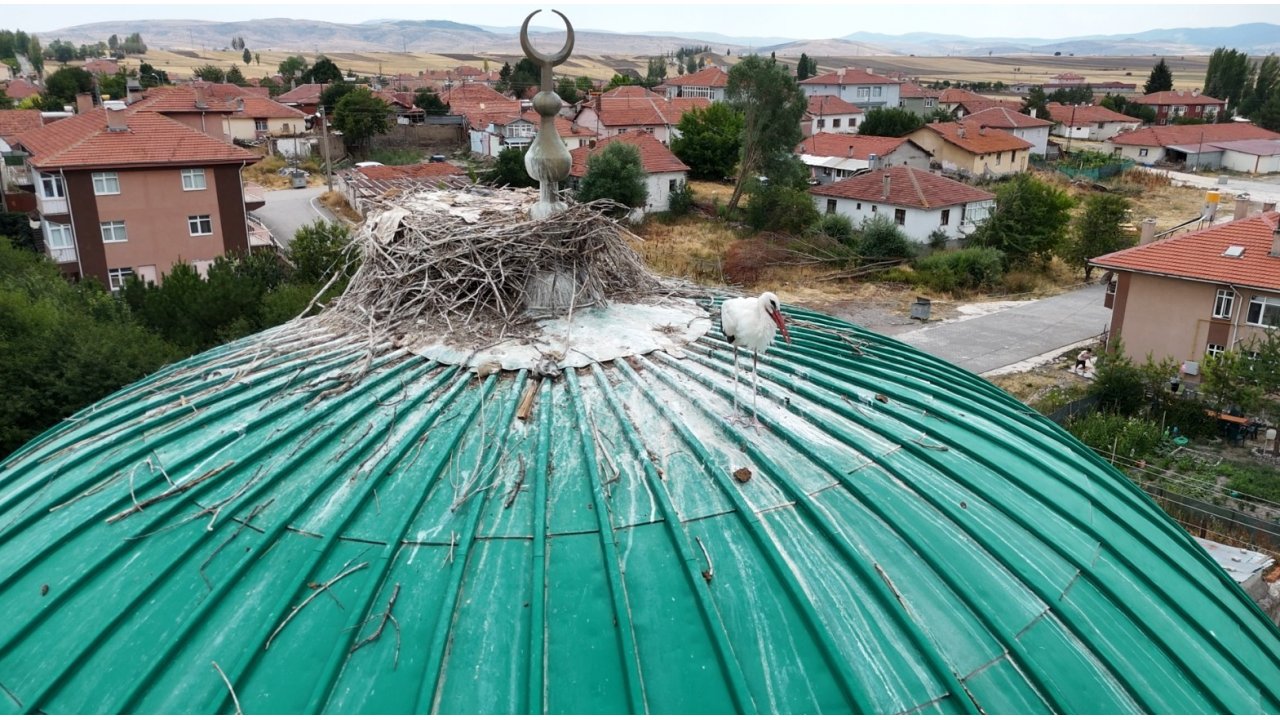 Bu Caminin Kubbesi Yıllardır Leyleklere Ev Sahipliği Yapıyor