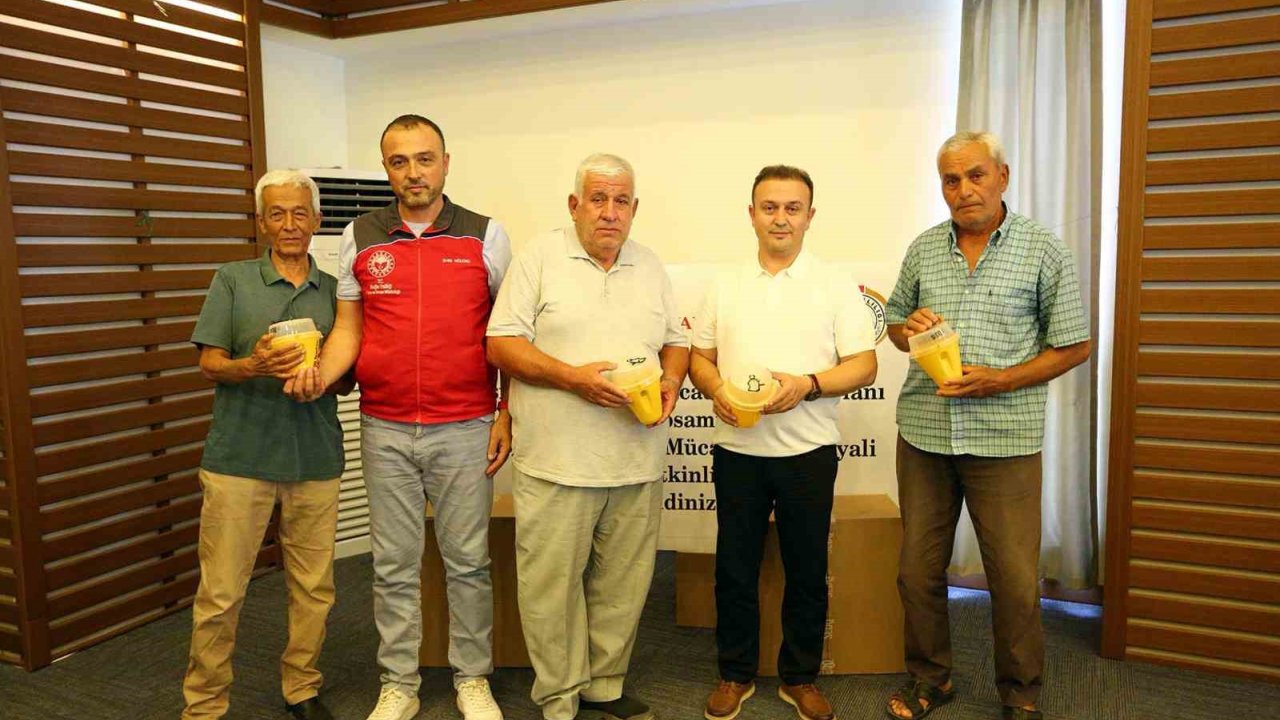 Akdeniz Meyve Sineği İle Mücadele İçin Tuzak Dağıtım