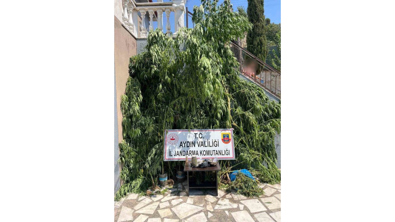 Evinin Bahçesine Saklamak İstedi, Narkotik Köpeğine Takıldı