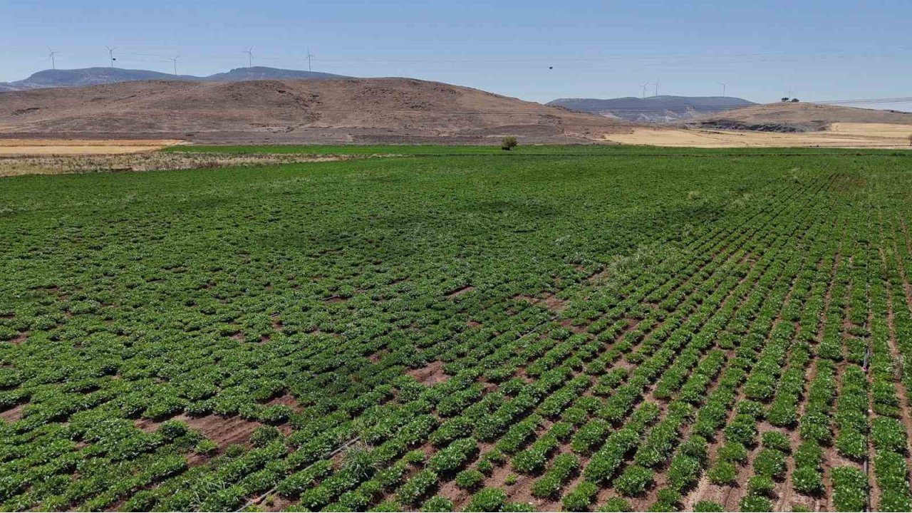 Büyükşehir, Akıllı Sulama Sistemlerini Nurdağı Ve İslahiye’de Hayata Geçirdi