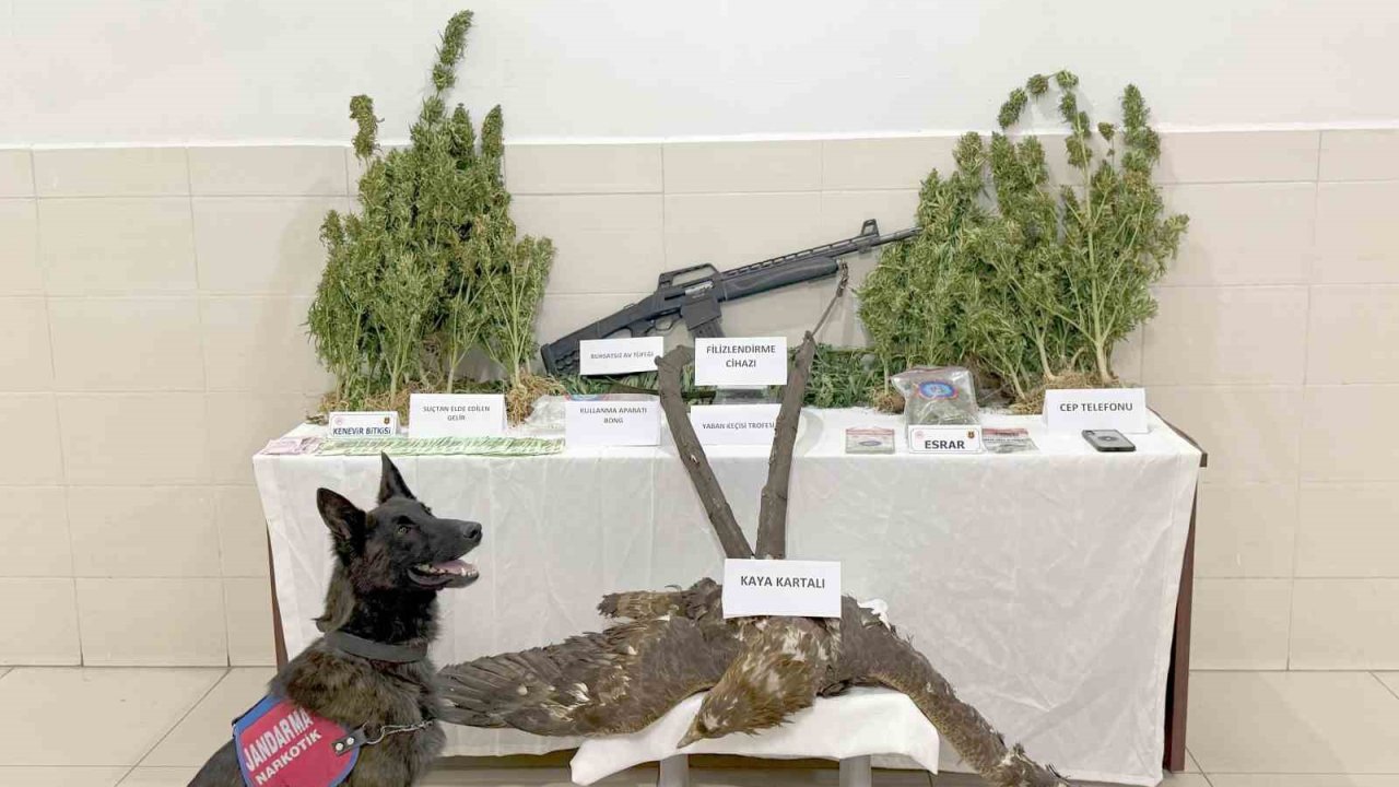 Uyuşturucu Ticareti İle Kaçak Avcılık Yapan Şahıs Tutuklandı