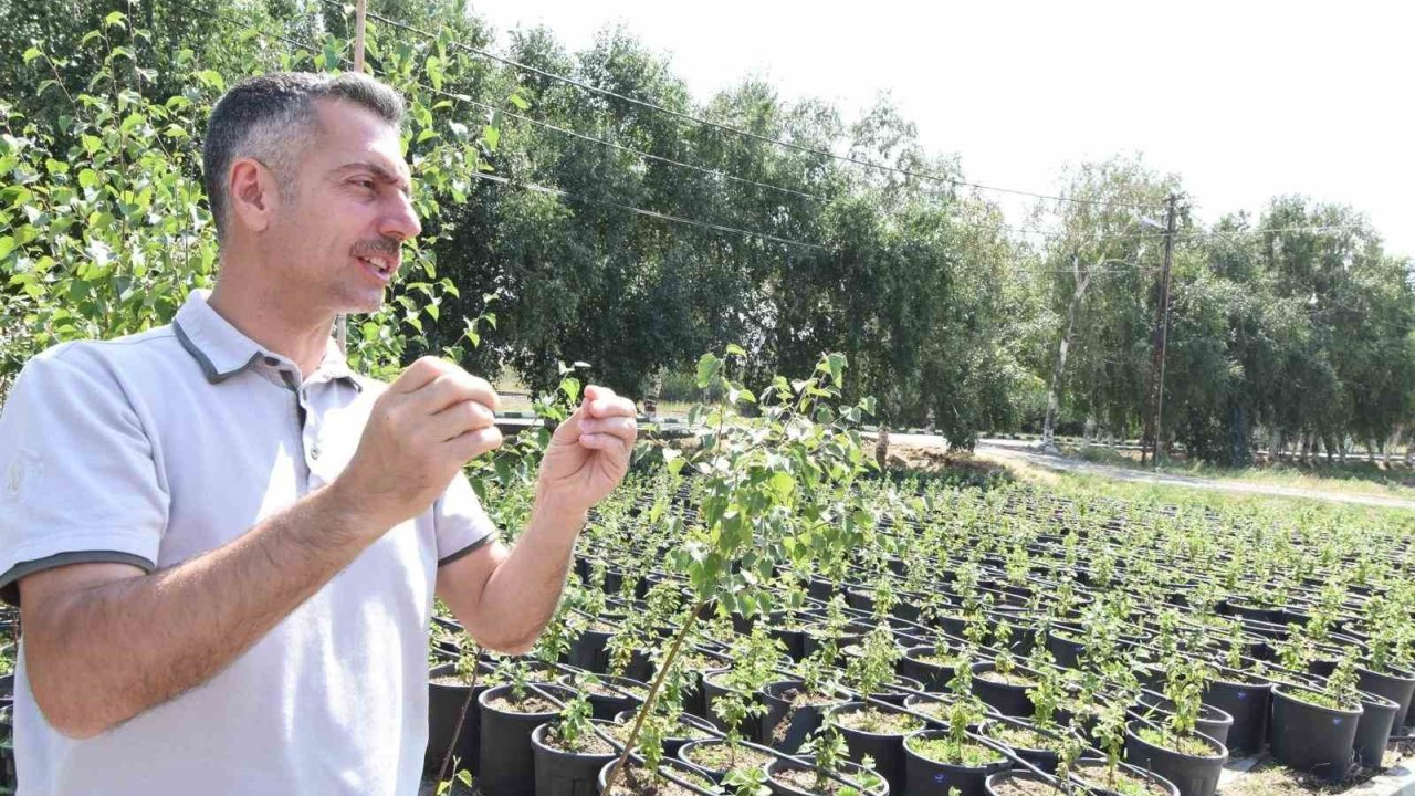 Erzurum Orman Bölge Müdürü Karakurt: