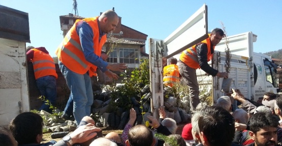 Devrek Orman İşletme Müdürlüğünden ücretsiz fidan dağıtımı