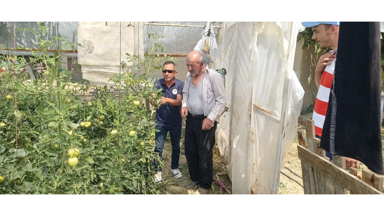 Tavşanlı’da Seralarda Bitki Hastalık Ve Zararlı Kontrolleri