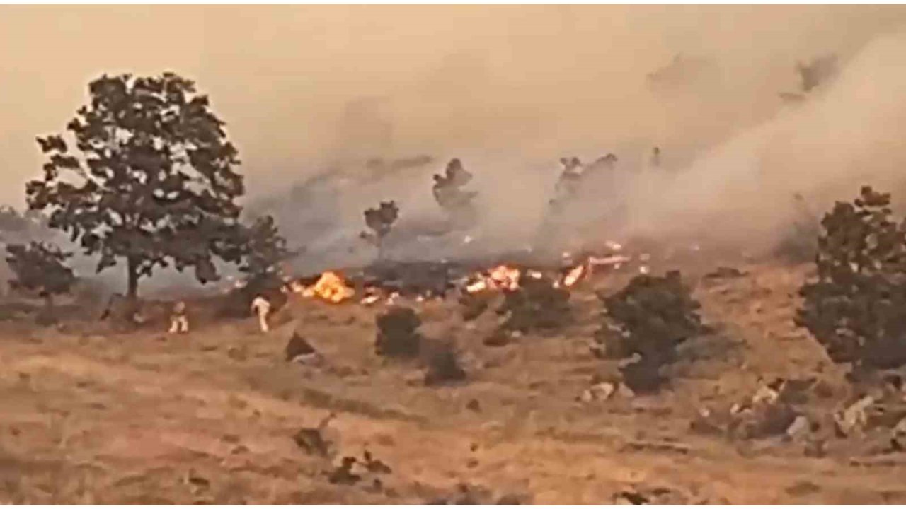 Aksaray’da Ağaçlık Alanda Yangın