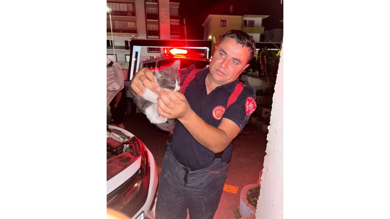 Otomobilin Motor Kısmına Girerek Sıkışan Yavru Kedi Ekipleri Seferber Etti