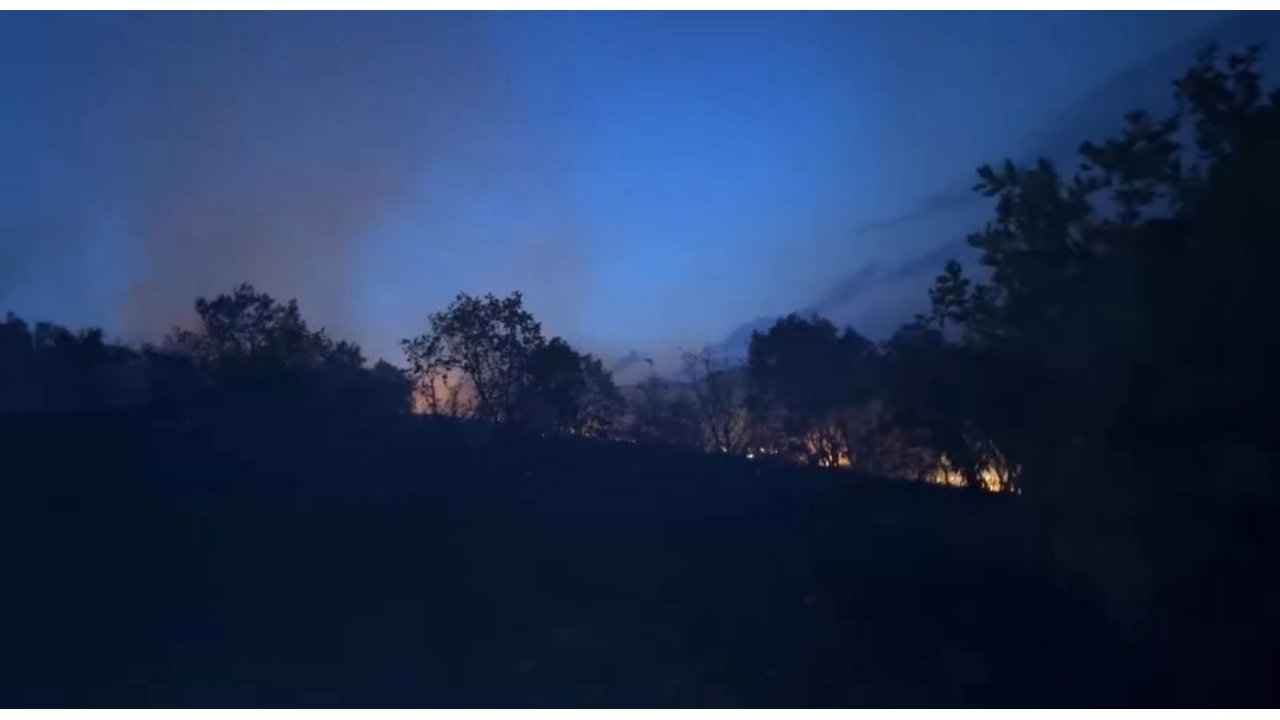 Diyarbakır’da Ağaçlık Alanda Korkutan Yangın: Alevlerin Yaklaştığı Ev Tahliye Edildi