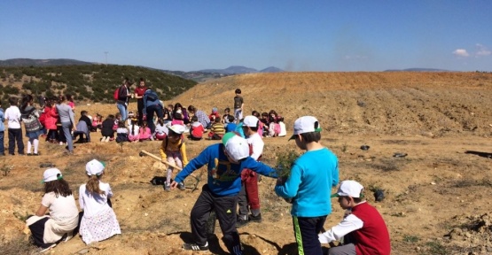 İlkokul öğrencileri 400 adet fidan dikti